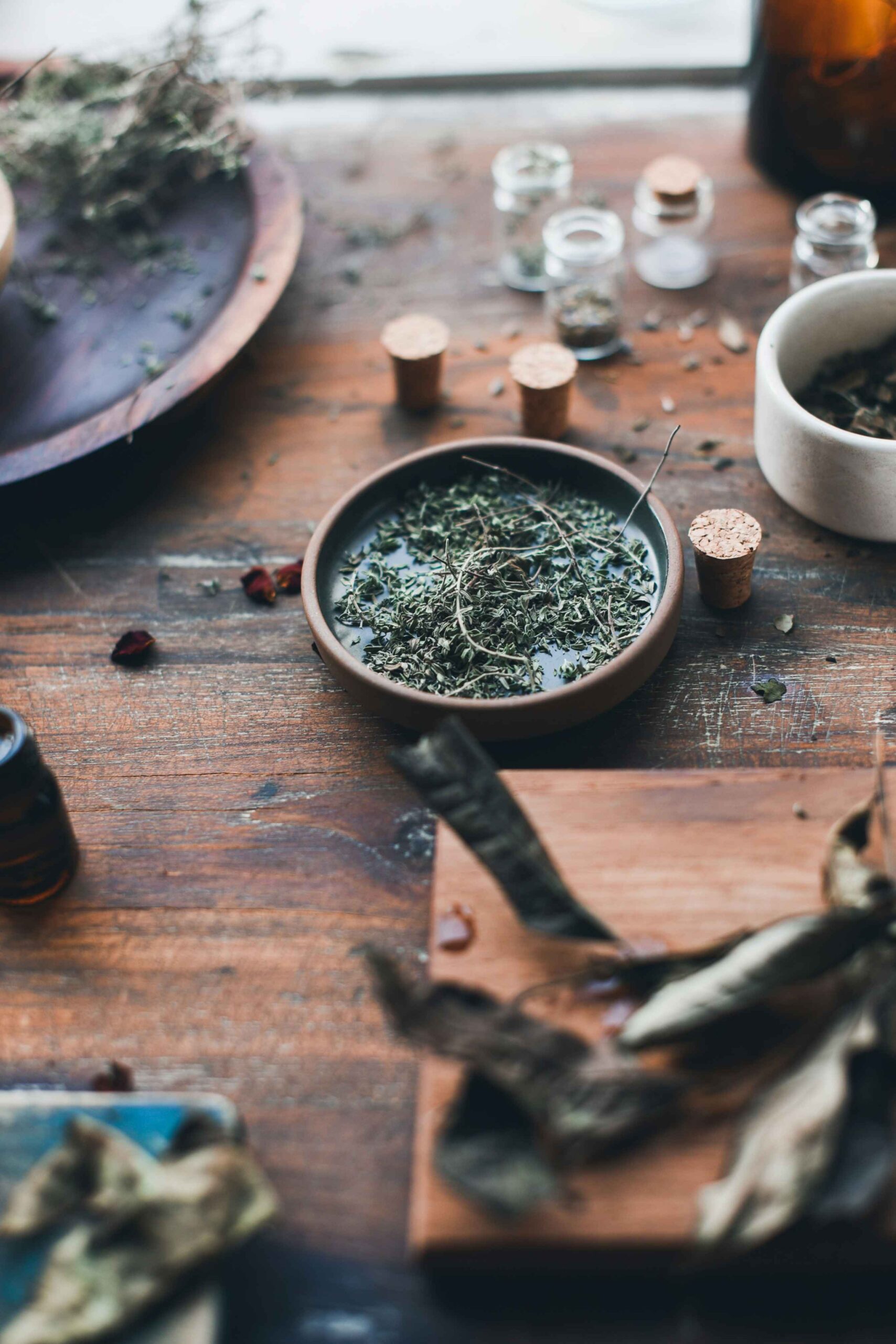 best herbs for stress and anxiety