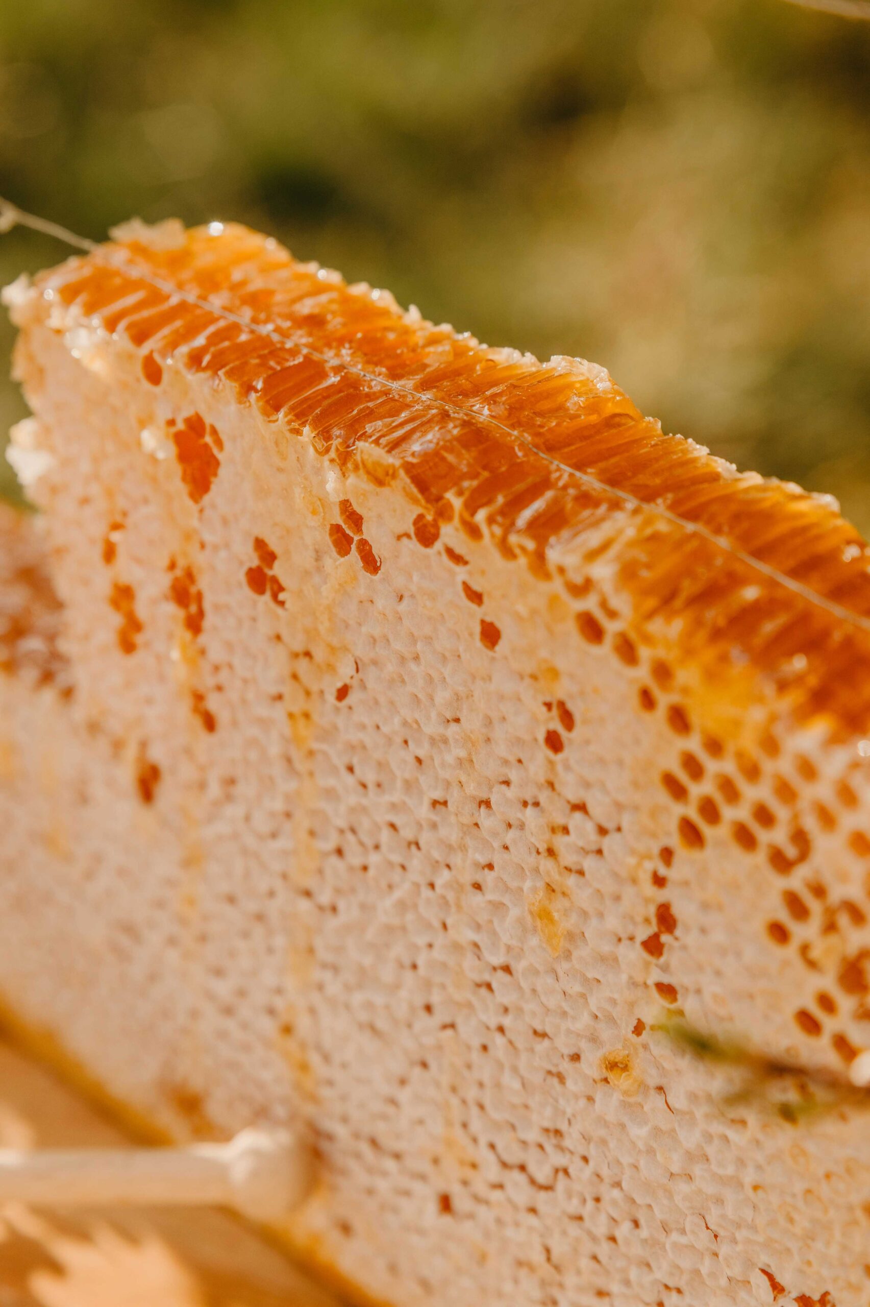 benefits of honeycomb
