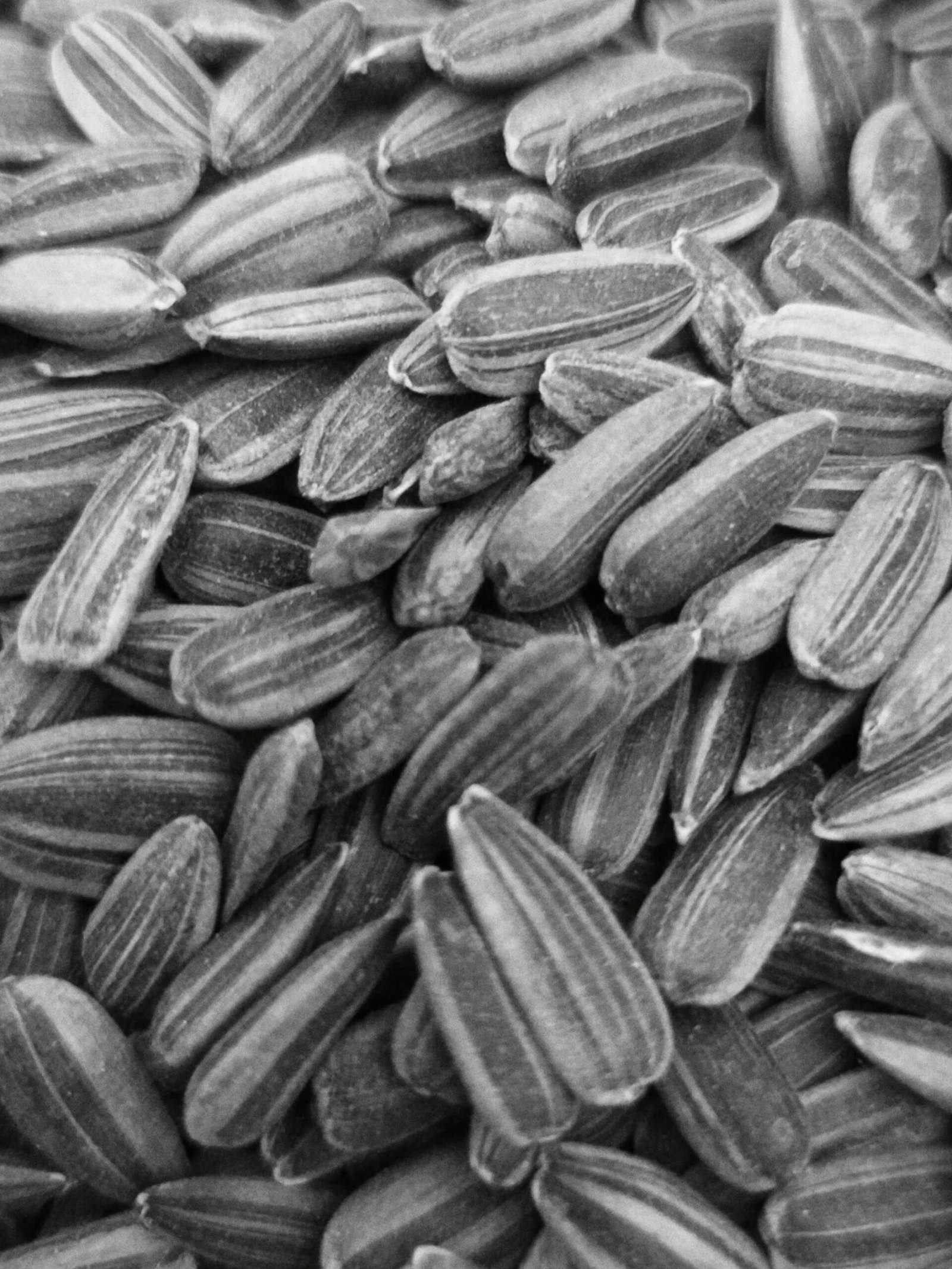 sunflower seeds for weight loss